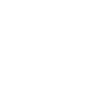 icon roulette